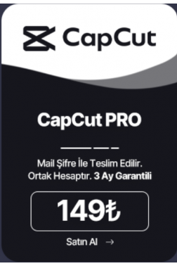 CapCut Pro