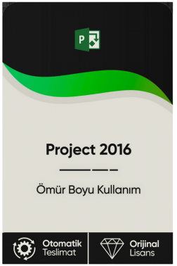 Microsoft Project 2016