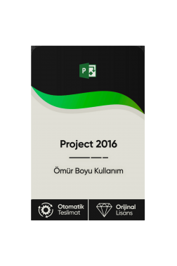 Microsoft Project 2016