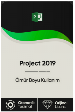 Microsoft Project 2019