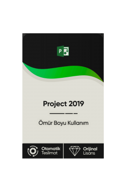 Microsoft Project 2019