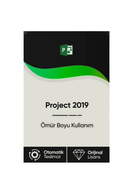 Microsoft Project 2019