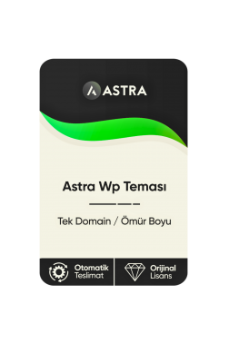 Astra Wp Teması