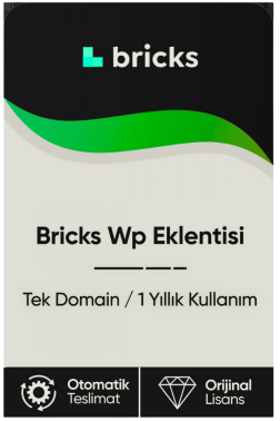 Bricks Wp Eklentisi