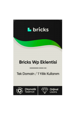 Bricks Wp Eklentisi