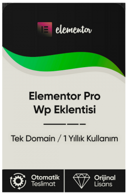 Elementor Pro Wp Eklentisi