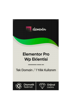 Elementor Pro Wp Eklentisi