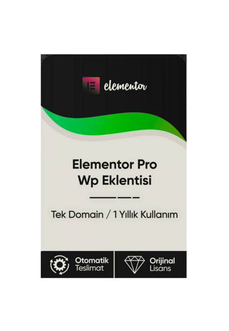 Elementor Pro Wp Eklentisi 