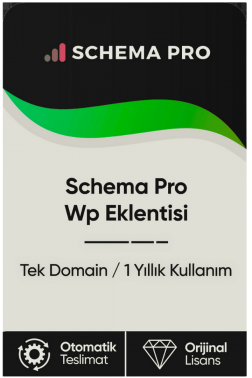 Schema Pro Wp Eklentisi